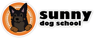 Sunny Dog School